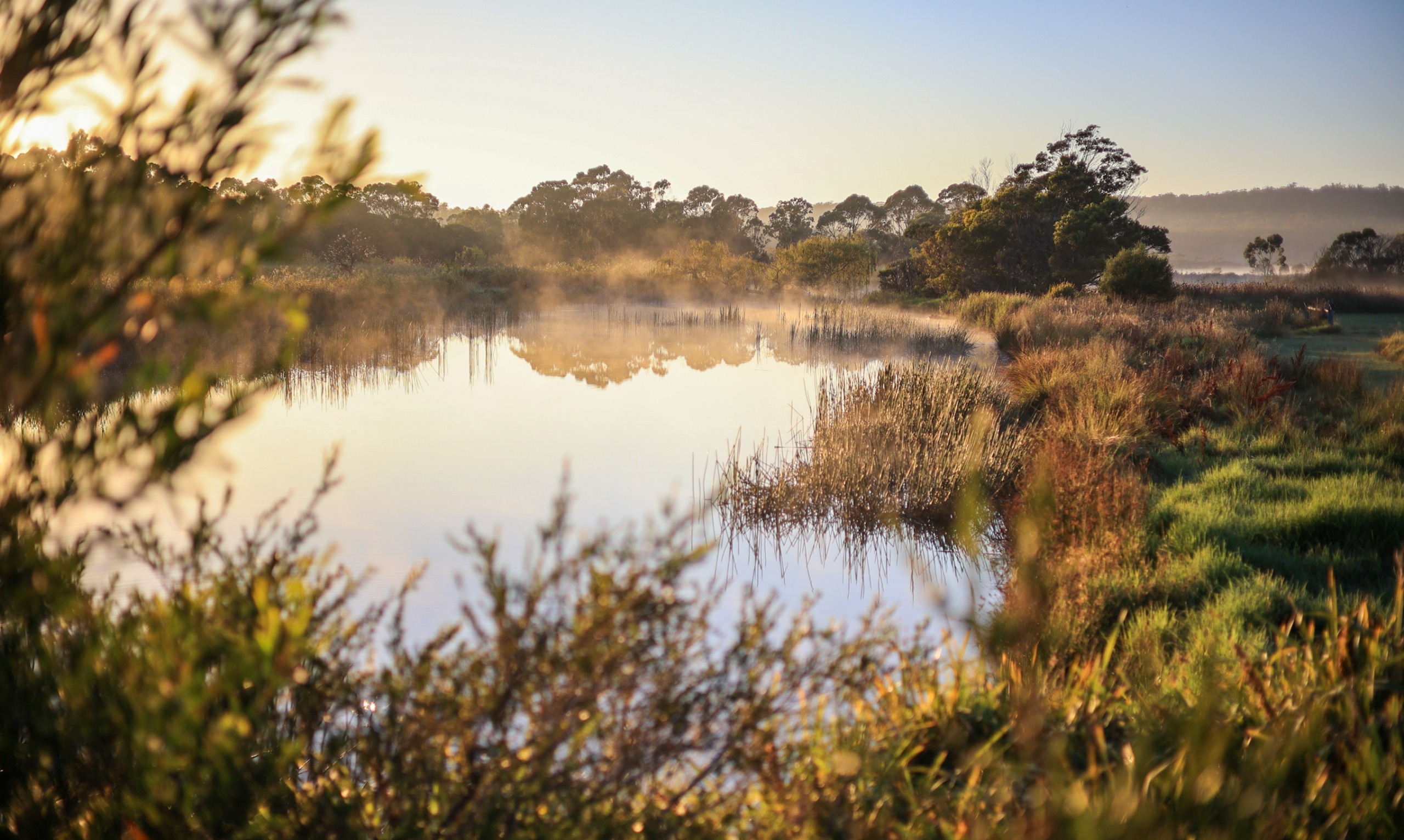 Image shows a wetland and sunrise